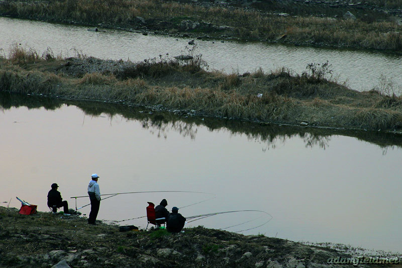 Fishing at Gapcheon